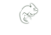 open-suse.ru логотип